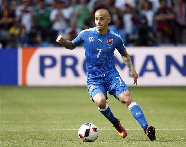 فلاديمير فايس