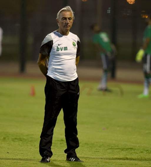 بيرت فان مارفيك