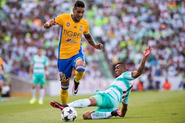 tigres-santos