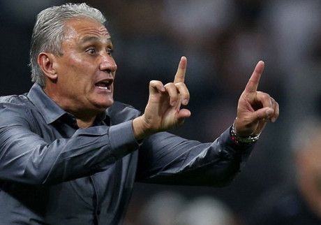  أدينور ليوناردي باتشي 'تيتي'