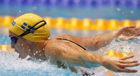 تيريز الشمار