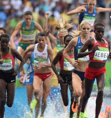 13962763_10210256718192541_284396528587865496_n