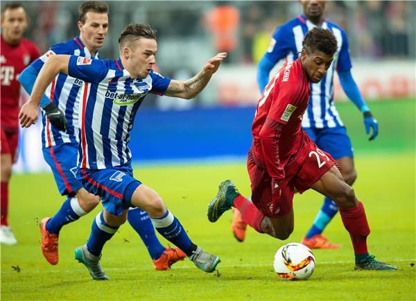 كومان (يمين)