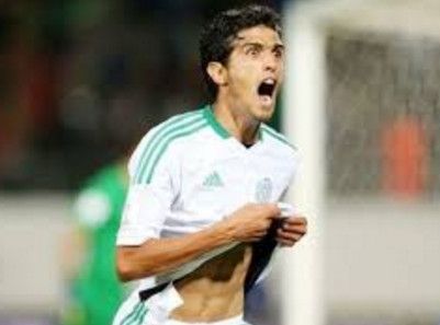 شمس الدين الشطيبي