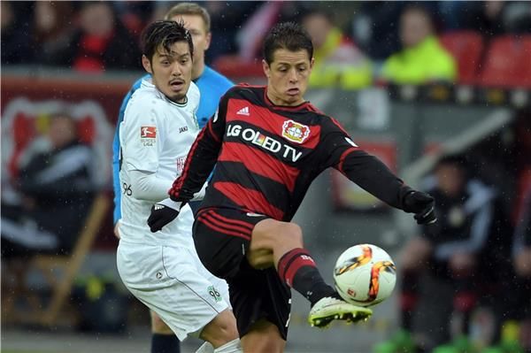  خافيير هيرنانديز