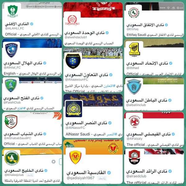 حسابات الأندية المشاركة في الدوري بعد توثيقها