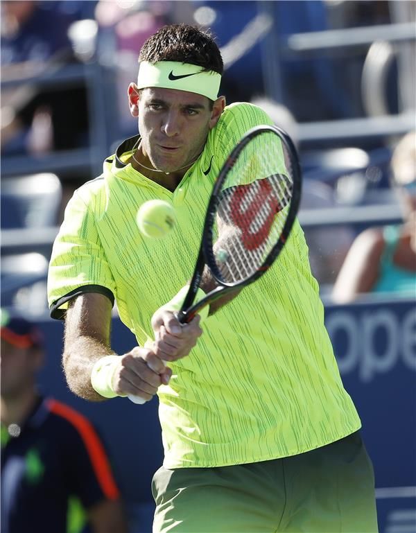  خوان مارتن ديل بوترو