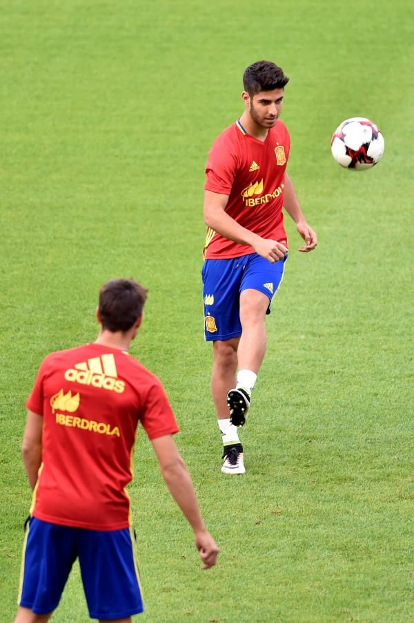 ماركو أسينسيو