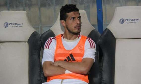 طارق حامد