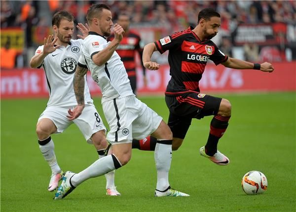 كريم بلعربي