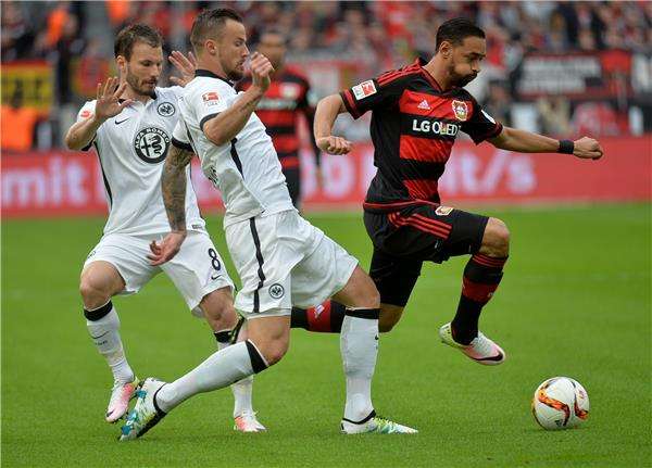 كريم بلعربي