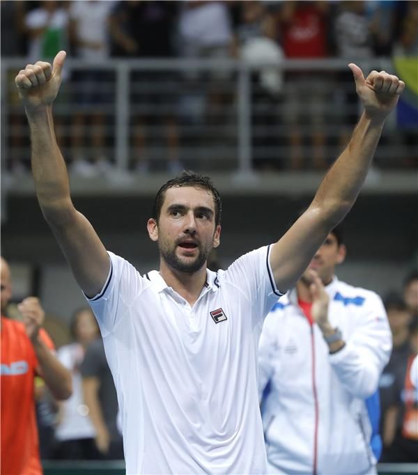 مارين شيليتش