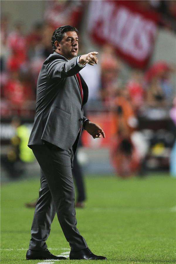 روي فيتوريا