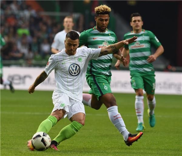 لقطات من اللقاء