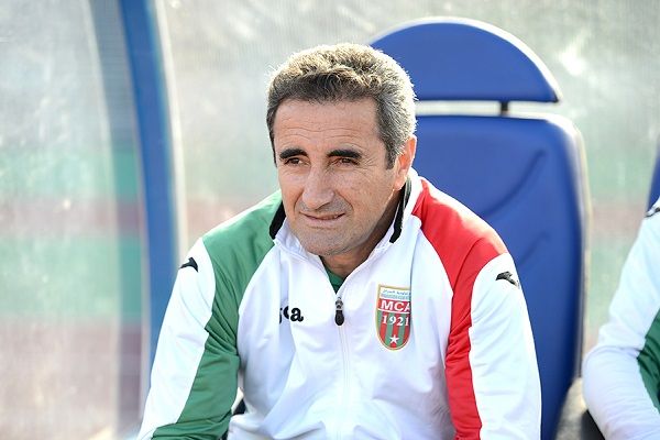 جمال مناد