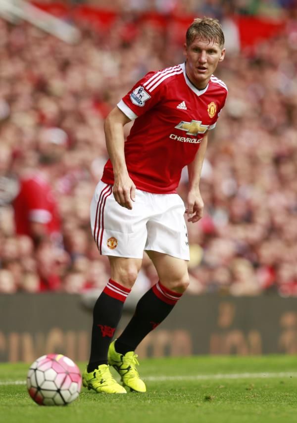 شفاينشتايجر 