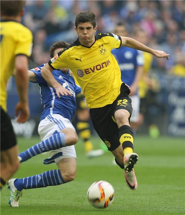 جوليان فيجل