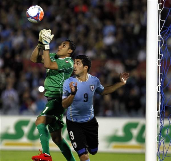 كيلور نافاس