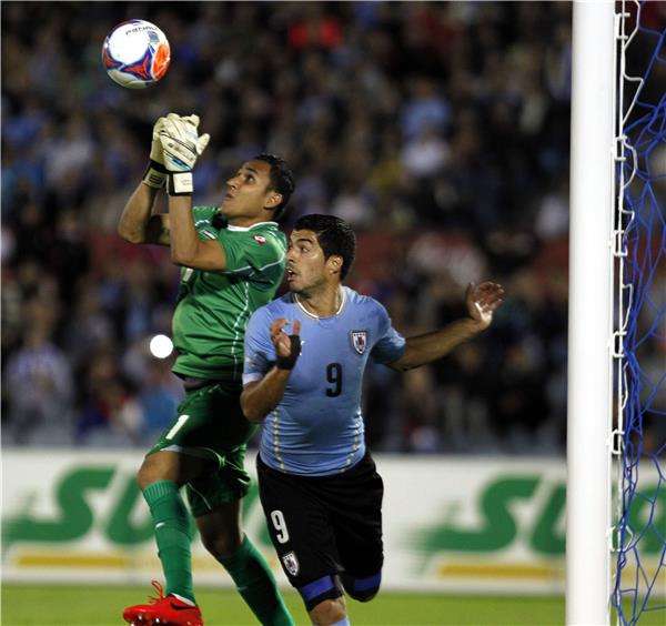 كيلور نافاس