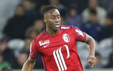 سواليهو ميتي