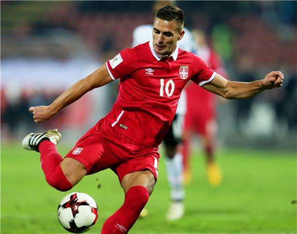 دوشان تاديتش