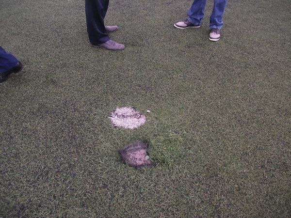 من ملعب أحمد زبانة بوهران