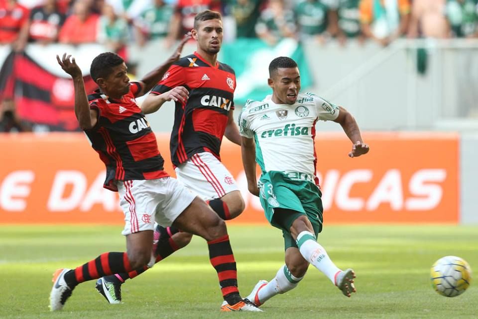 palmeiras
