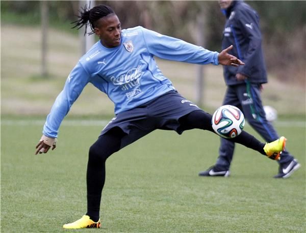 أبيل هيرنانديز