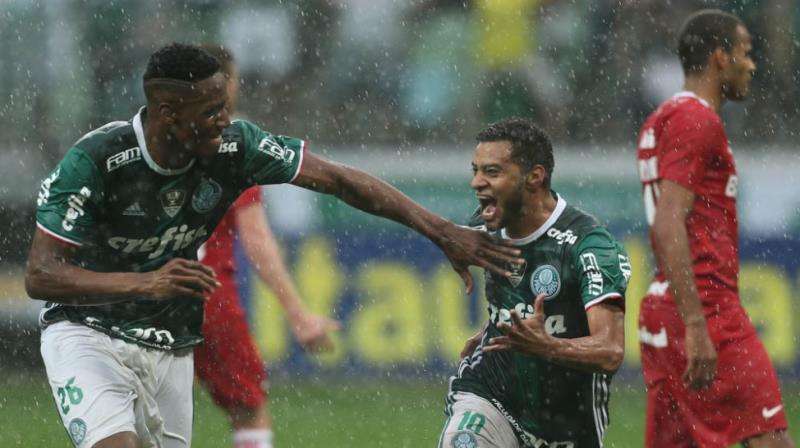 palmeiras