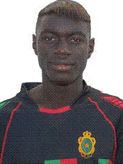  محمد الشيخي