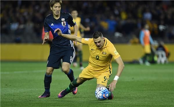 تومي يوريتش 