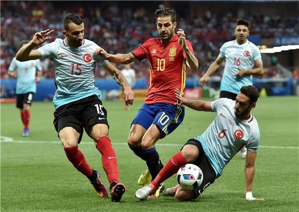 سيسك فابريجاس 