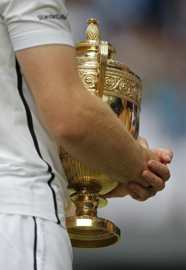 كأس بطولة ويمبلدون 