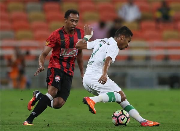  سعيد المولد