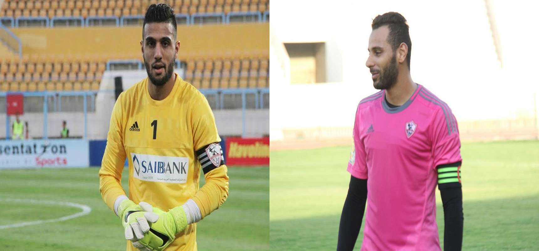 جنش والشناوي