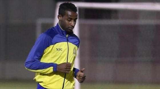 ربيع سفياني