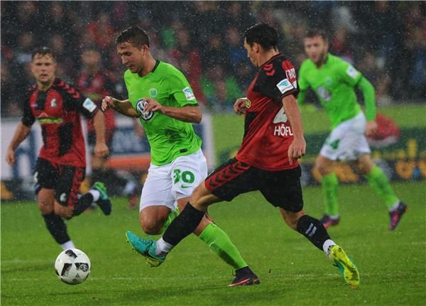 باول سيجوين