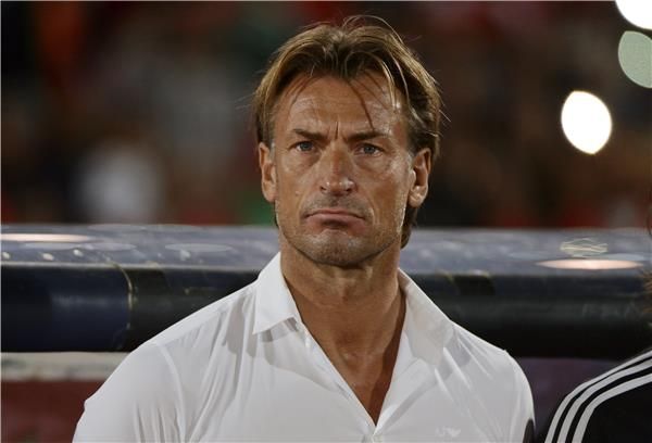  هيرفي رينارد 