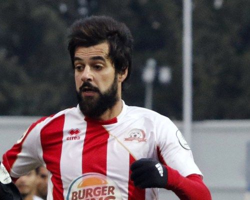  محمد الباشا