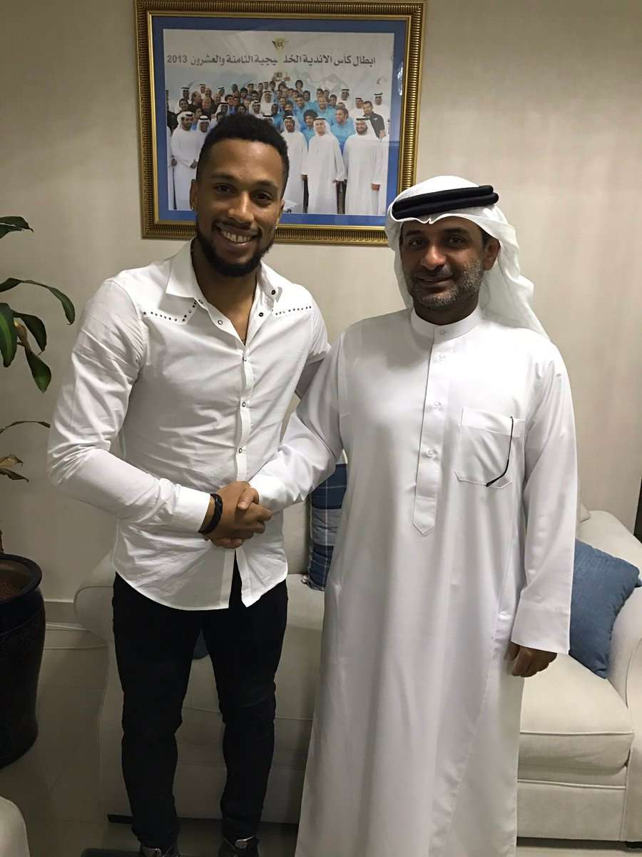 هاري نوفيلو