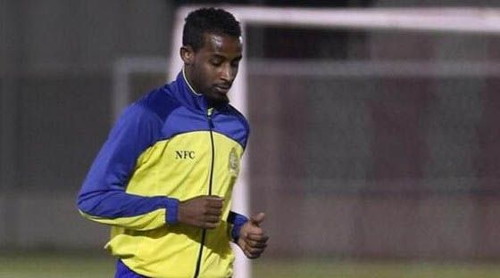 ربيع سفياني