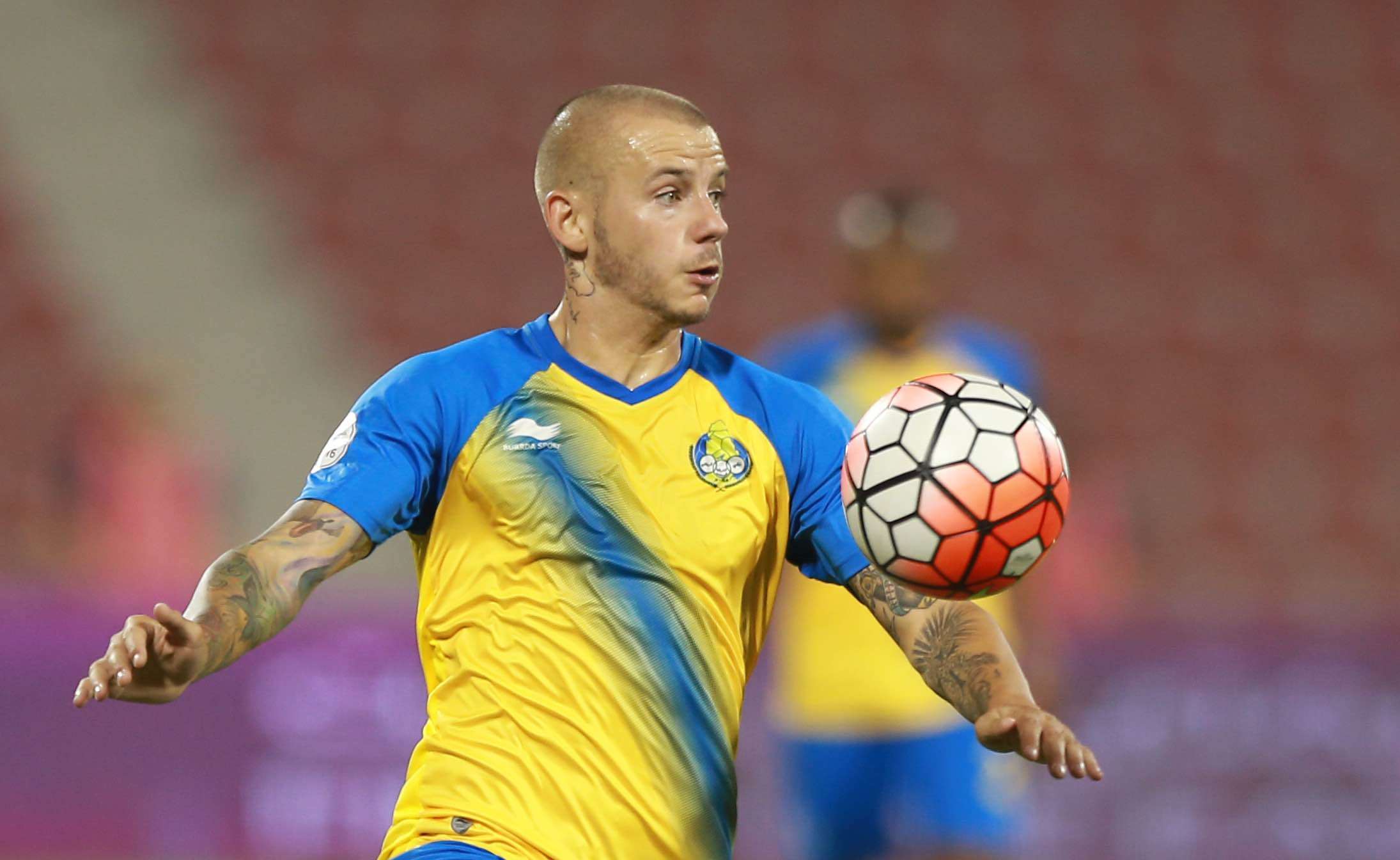 فلاديمير فايس