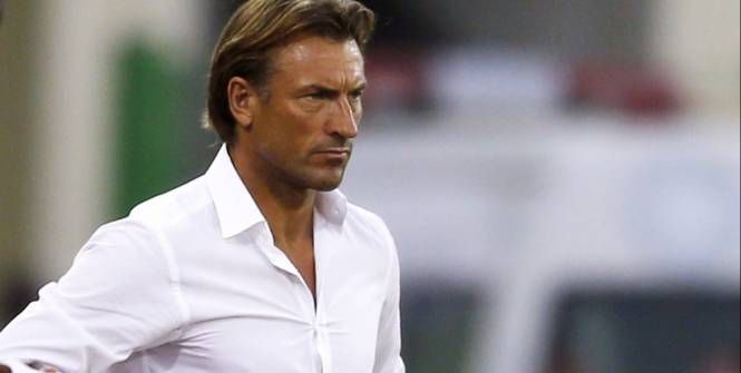 هيرفي رينارد