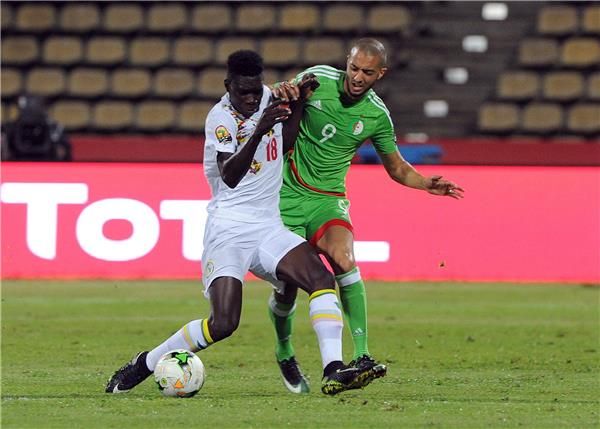 جانب من لقاء الجزائر والسنغال