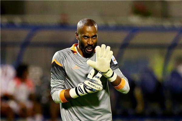 وليد عبدالله 