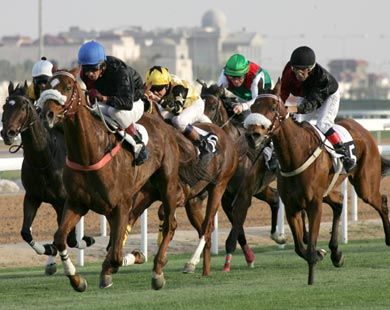 img_12103692571_530572_1_34