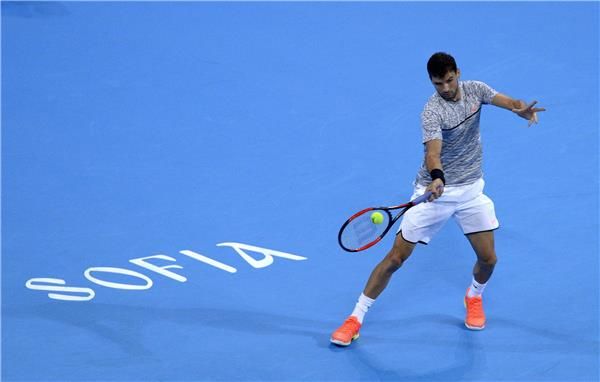 جريجور ديميتروف