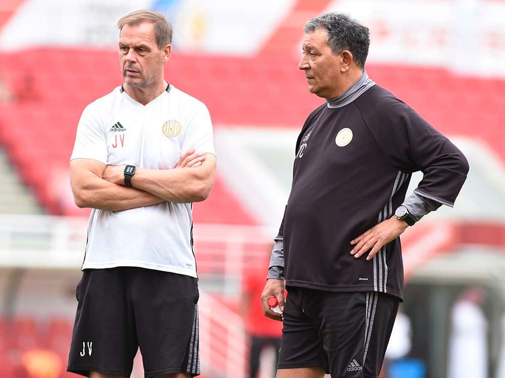 هنك تين كات	