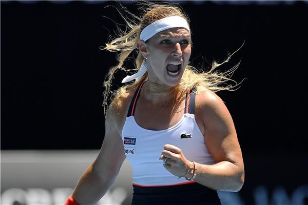 دومينيكا سيبولكوفا