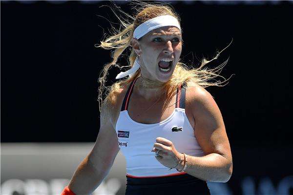 دومينيكا سيبولكوفا